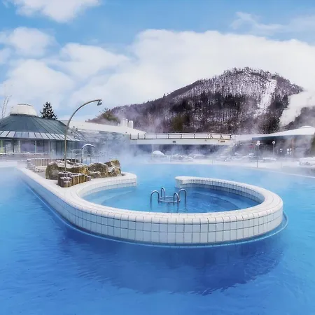 Bergliebe Appartement