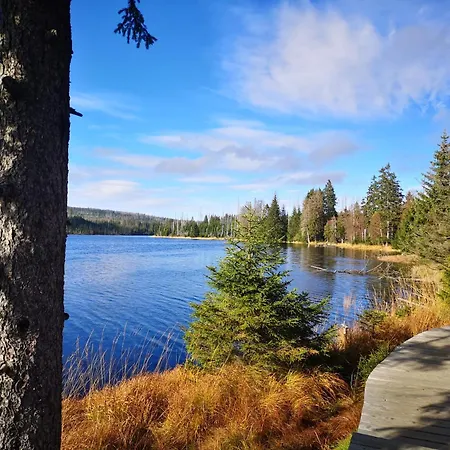 Bergliebe Bad Harzburg