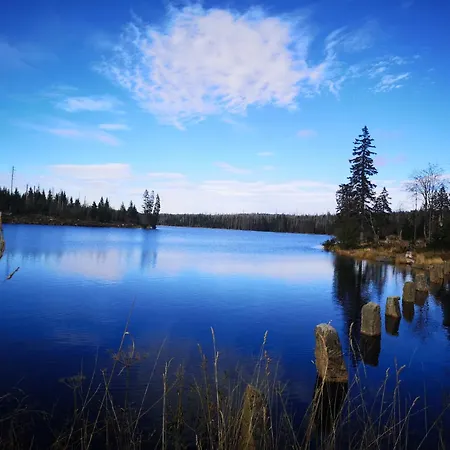 Bergliebe Bad Harzburg