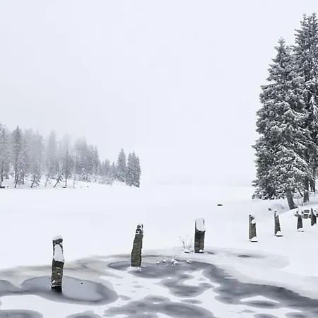 Bergliebe Διαμέρισμα Bad Harzburg