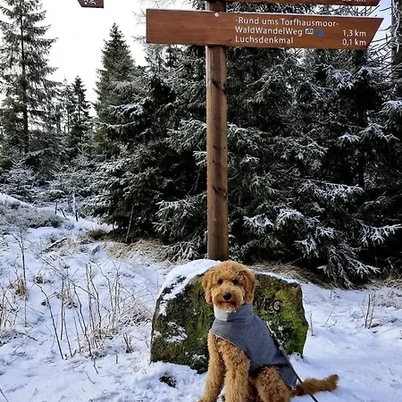 Appartement Bergliebe